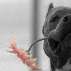 Meet your Posher, Sonni